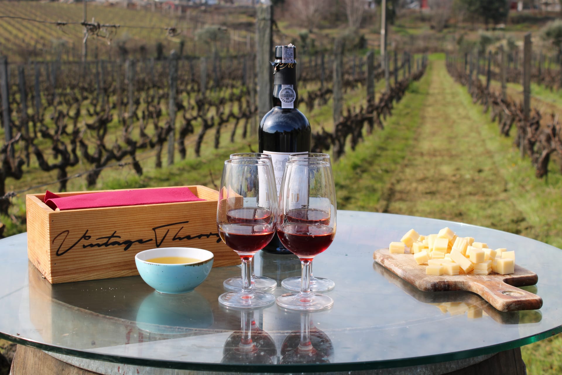 Tour privado del vino en el valle del Duero - Living Tours